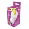 Obrázek LED žárovka A60 PREMIUM 13W E27 WW