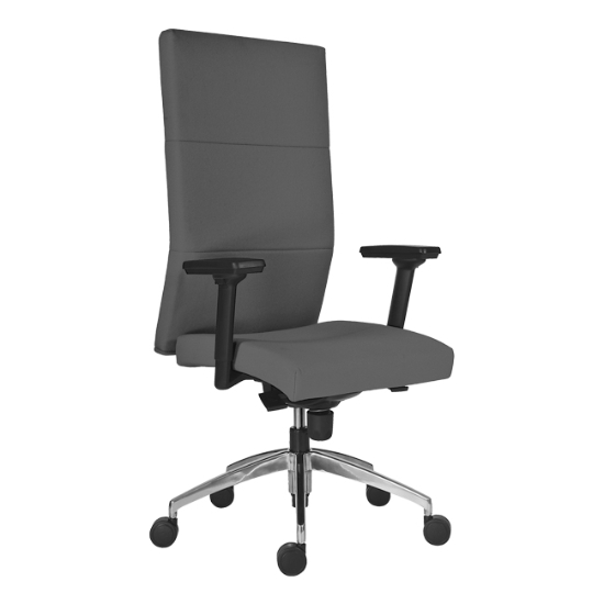 Obrázek Křeslo kancelářské 8100 VERKTIKA / BN5 - šedá
