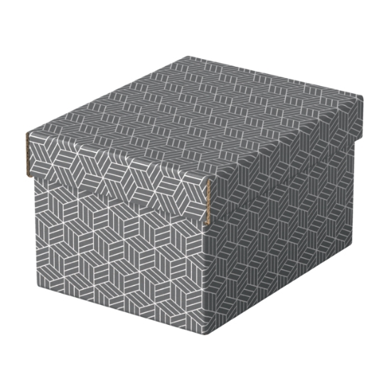 Obrázek Box úložný Esselte Home, vel. S - šedá / 3 ks