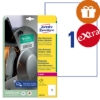 Obrázek Etikety Avery-Zweckform - ultra odolné 210 x 297 mm - bílá / 10xA4