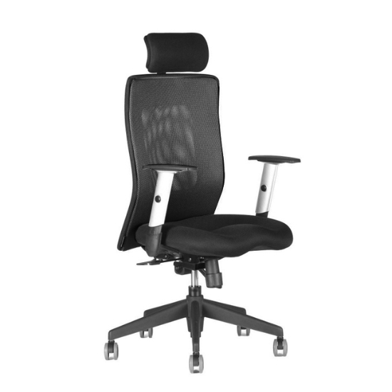 Obrázek Židle pracovní CALYPSO XL SP1 - 1111 - černá