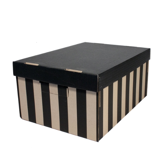 Obrázek Krabice s víkem úložná BIG BOX 5 kg / 2 ks
