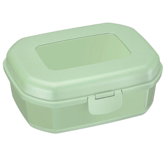Obrázek Svačinový box Maxi, 935 ml, mátově zelená