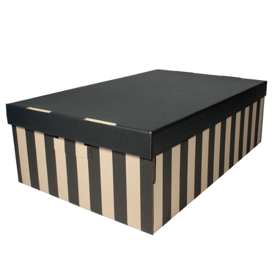 Obrázek Krabice s víkem úložná BIG BOX 10 kg / 2 ks