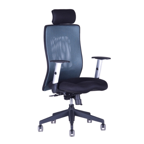 Obrázek Židle pracovní CALYPSO XL SP1 - 1211 - antracit