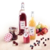 Obrázek Lahev na smoothie, džus nebo mléko 500 ml