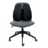 Obrázek Opěrka zad SmartFit® 