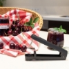 Obrázek Odpeckovávač třešní KERNETTO
