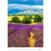 Obrázek Kalendář nástěnný Provence 2027