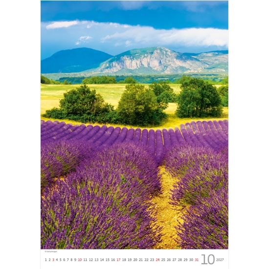 Obrázek Kalendář nástěnný Provence 2027
