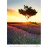 Obrázek Kalendář nástěnný Provence 2027