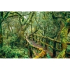 Obrázek Kalendář nástěnný Aleje 2027