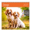 Obrázek Kalendář nástěnný Dogs 2027