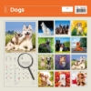Obrázek Kalendář nástěnný Dogs 2027