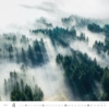 Obrázek Kalendář nástěnný Les - Forest 2027