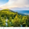 Obrázek Kalendář nástěnný Les - Forest 2027