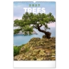 Obrázek Kalendář nástěnný Trees - Stromy 2027