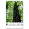 Obrázek Kalendář nástěnný Trees - Stromy 2027