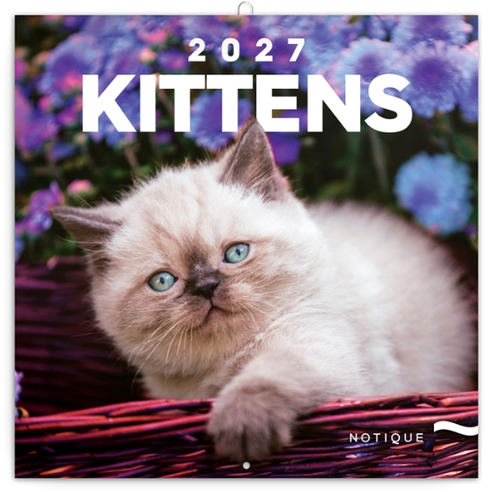 Obrázek Kalendář nástěnný Koťata 2027